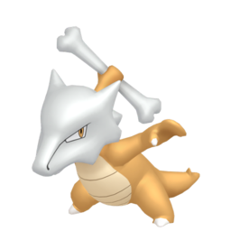 MAROWAK