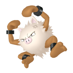 PRIMEAPE