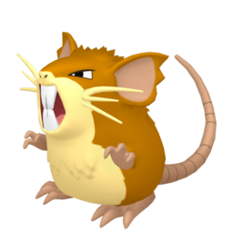 RATICATE